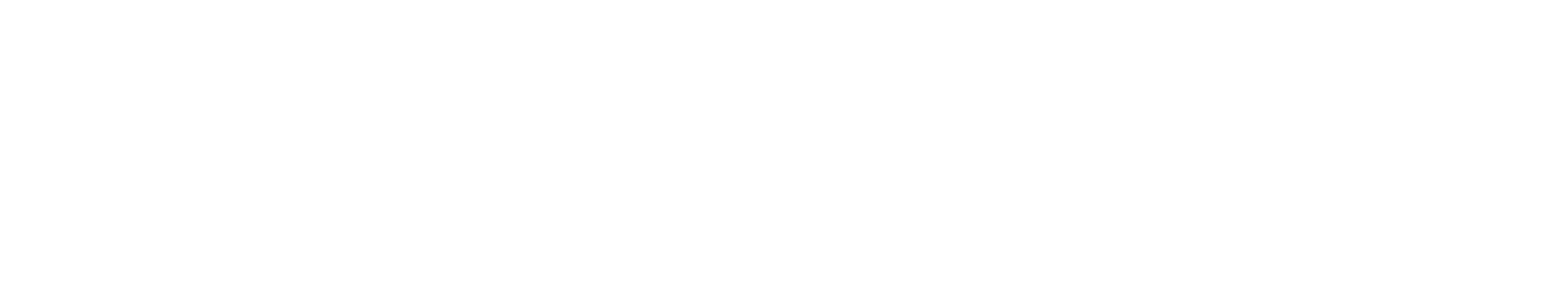 Evensky & Katz Foldes Logo